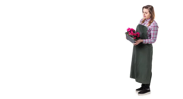 Portret uśmiechnięta kobieta profesjonalny ogrodnik lub Kwiaciarnia w fartuch gospodarstwa kwiaty w doniczce na białym tle. Miejsce — Zdjęcie stockowe