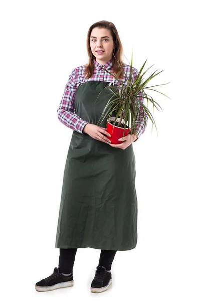 Ritratto di donna sorridente giardiniere professionista o fiorista in grembiule che tiene fiori in una pentola isolata su sfondo bianco — Foto Stock