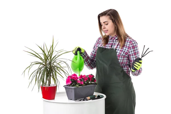 Herramientas de jardinería y flores como regadera, botas de goma, jarrones, ollas, guantes aislados sobre fondo blanco — Foto de Stock