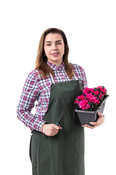 Vrouw professionele tuinman of bloemist in schort bloemen te houden in een pot en tuinieren hulpmiddelen geïsoleerd op witte achtergrond — Stockfoto