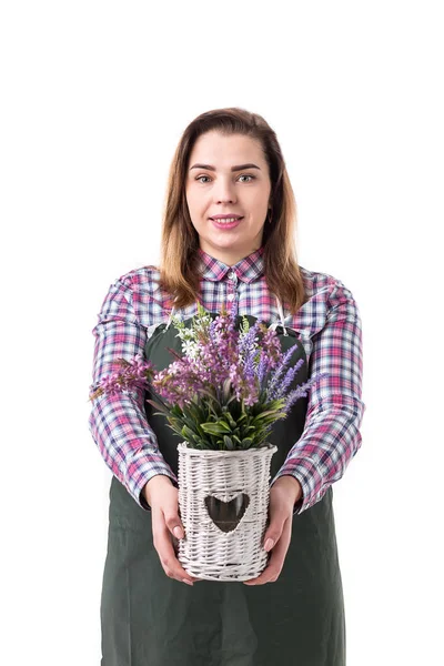 Portret uśmiechnięta kobieta profesjonalny ogrodnik lub Kwiaciarnia w fartuch gospodarstwa kwiaty w doniczce na białym tle — Zdjęcie stockowe