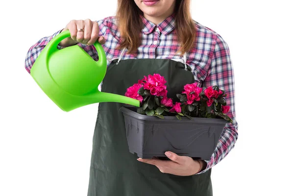 Donna giardiniere professionista o fiorista in grembiule con fiori in una pentola e attrezzi da giardinaggio isolati su sfondo bianco. Copia spazio — Foto Stock