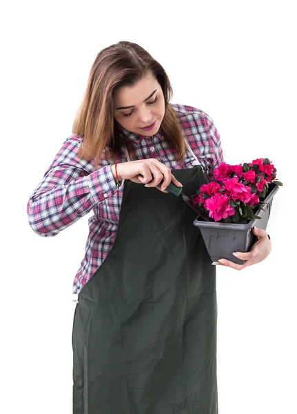 Donna giardiniere professionista o fiorista in grembiule con fiori in una pentola e attrezzi da giardinaggio isolati su sfondo bianco. Copia spazio — Foto Stock