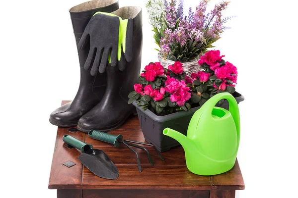 Інструменти для садівництва та квіти, такі як лійка, гумові чоботи, вази, горщики, рукавички ізольовані на білому тлі — стокове фото