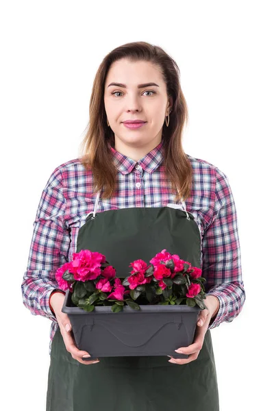 Portrait de femme souriante jardinier professionnel ou fleuriste dans un tablier tenant des fleurs dans un pot isolé sur fond blanc — Photo