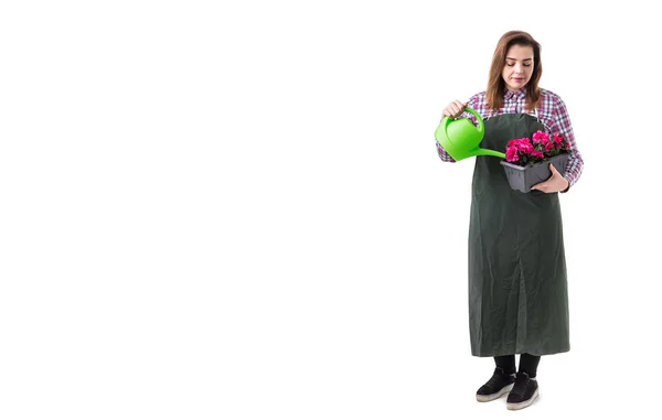 Vrouw professionele tuinman of bloemist in schort bloemen te houden in een pot en tuinieren hulpmiddelen geïsoleerd op een witte achtergrond. Kopiëren van ruimte — Stockfoto