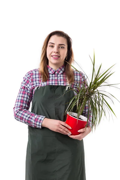 Vrouw professionele tuinman of bloemist in schort bloemen te houden in een pot geïsoleerd op witte achtergrond — Stockfoto