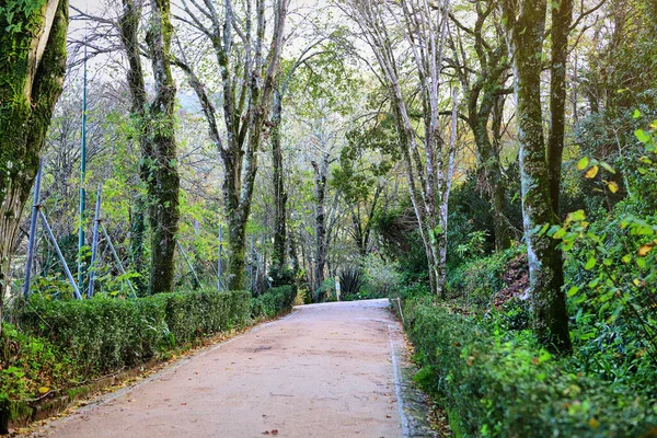 Schöne Gärten Der Quinta Regaleira Sintra Portugal — Stockfoto