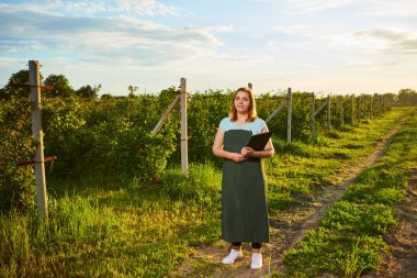Meyve bahçesinde çalışan kadın çiftçi. Biyolog müfettişi ahududu çalılarını inceliyor.