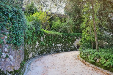 Quinta da Regaleira 'daki güzel bahçeler. Sintra, Portekiz.