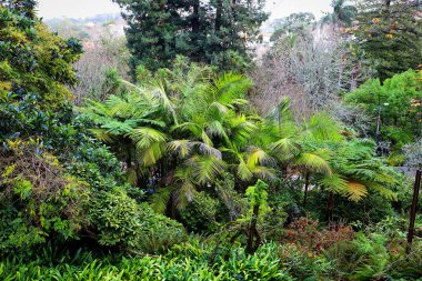 Quinta da Regaleira 'daki güzel bahçeler. Sintra, Portekiz.