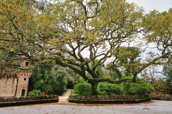 Schöne Gärten Der Quinta Regaleira Sintra Portugal — Stockfoto