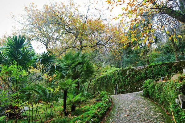 Schöne Gärten Der Quinta Regaleira Sintra Portugal — Stockfoto