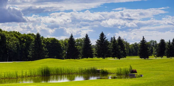 美しい緑と風景を入れてゴルフコース フィールド Mezhyhiya公園 キエフ ウクライナ — ストック写真