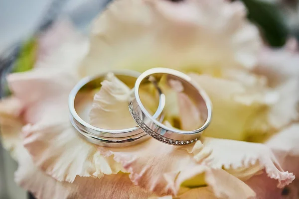 Wedding Rings Lie Bouquet — Stock Photo, Image