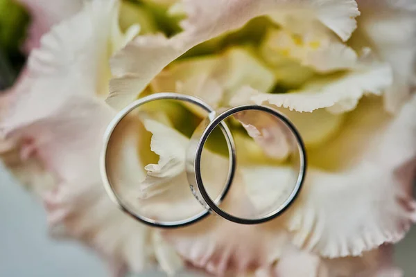 Anillos Boda Encuentran Ramo — Foto de Stock