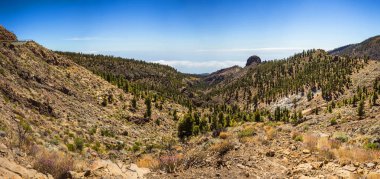 Teide Ulusal Parkı 'nın güzel manzarası, Tenerife, Kanarya Adası, İspanya