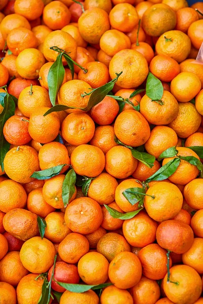 Mandalina Yapraklı Portakal Rengi Mandalinalar Bir Mağazanın Üst Manzarasında Tezgahta — Stok fotoğraf