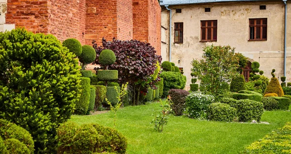 Jardinería Paisajismo Con Árboles Plantas Decorativas —  Fotos de Stock