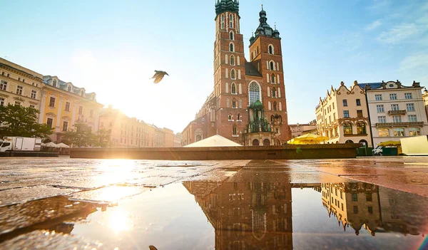 波兰克拉科夫主广场 Rynek Glowny 的圣玛丽大教堂 日出时分 — 图库照片