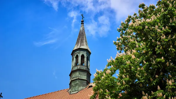 Torre Castillo Wawel Durante Soleada Mañana Cracovia — Foto de Stock