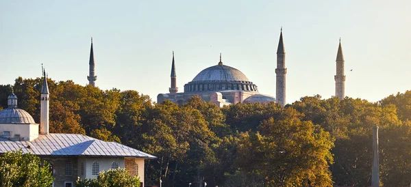 Ayasofya Museum Hagia Sophia Parku Sultán Ahmet Eminonu Istanbul Turecko — Stock fotografie