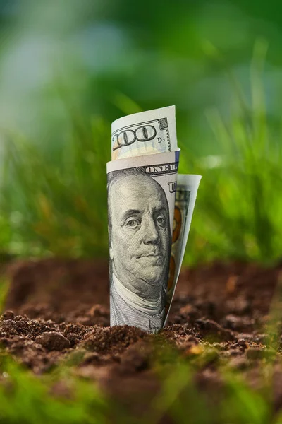 緑の背景に米ドル紙幣 成長現金 の概念 お金は地面から成長します 農業投資と栽培事業 お金を稼ぐアイデア — ストック写真