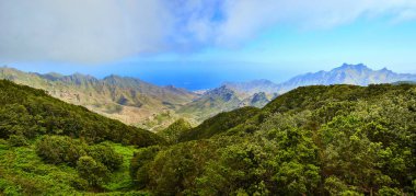 Anaga Kırsal Parkı, Tenerife, Kanarya Adaları, İspanya