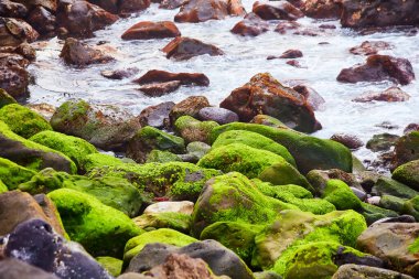 Tenerife, Kanarya Adaları, İspanya - volkanik kayalar ve taşlarla dolu güzel Atlantik okyanus kıyısı manzarası