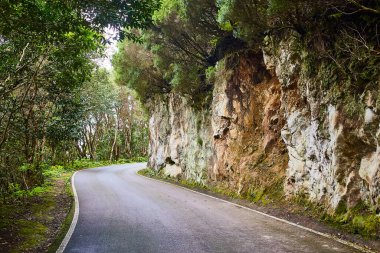 İspanya, Kanarya Adaları, Tenerife 'deki Anaga Ulusal kırsal parkında güzel bir yol.