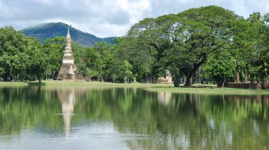 Budist Antik anıt yapı ve doğa otlak ağaçları parkta, Ayutthaya, Tayland ile su Gölü