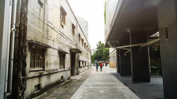 people walk on the pedestrian walk wak with the old stle buildin