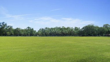doğa otlak parkta ağaçları ile su Gölü,