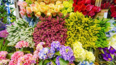 Renkli flora ve diğer çiçekler buket dekorasyon için