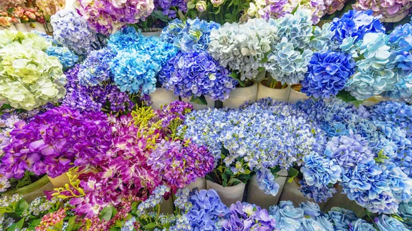 Flora kolorowy i inne kwiaty do dekoracji bukiet w kwiaciarni, przyprawy kwiaty na rynku. W systemie niebieski i fioletowy. — Zdjęcie stockowe