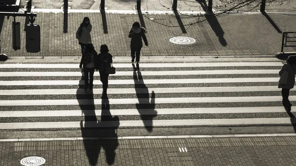 silhouette people walk on pedestrian crosswalk at the junction street of business city at the evening sunset with the dark shadow of people on the road (top aerial view)