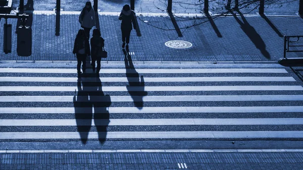 silhouette people walk on pedestrian crosswalk at the junction street of business city at the evening sunset with the dark shadow of people on the road (top aerial view)