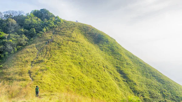 Grupo de pessoas caminhadas na paisagem vidro verde de alta colina mou — Fotografia de Stock