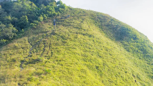 Grupo de pessoas caminhadas na paisagem vidro verde de alta colina mou — Fotografia de Stock