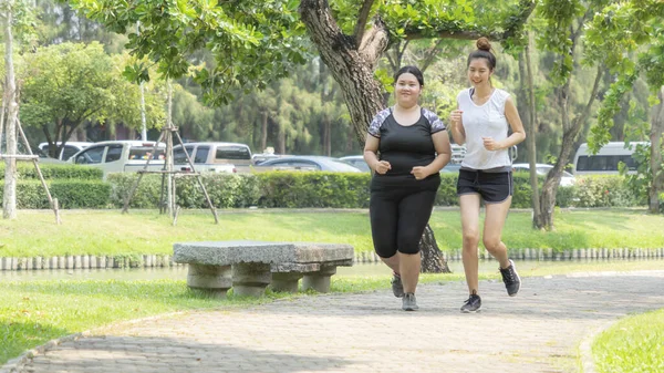 Fitness sporu. İki zayıf formalı ve spor giyinmiş şişman kızlar. Sabah bahçede koşuyorlar, açık hava sporları..