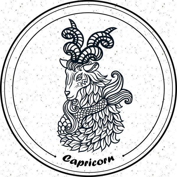Detailed Capricorn in aztec filigree line art zentangle Paisley style. Tattoo, coloring page for adult. T-shirt design. Zodiac Capricorn tribal, decorative wool pattern. Vector