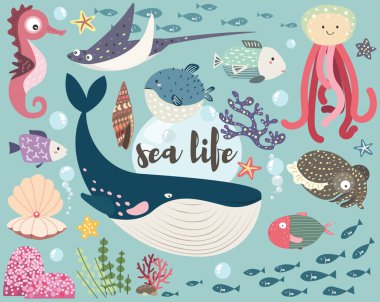 Şirin Deniz Yaşamı Koleksiyonu