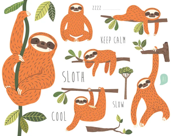 Set Van Schattige Sloth Hangend Aan Tree Collection — Stockvector