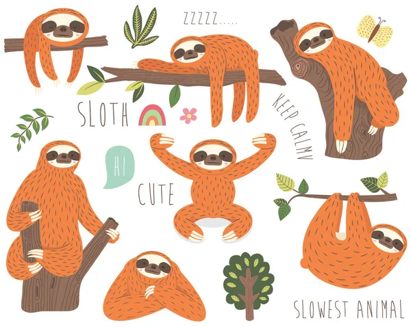 Cute Sloth Vector Insieme Raccolta — Vettoriale Stock