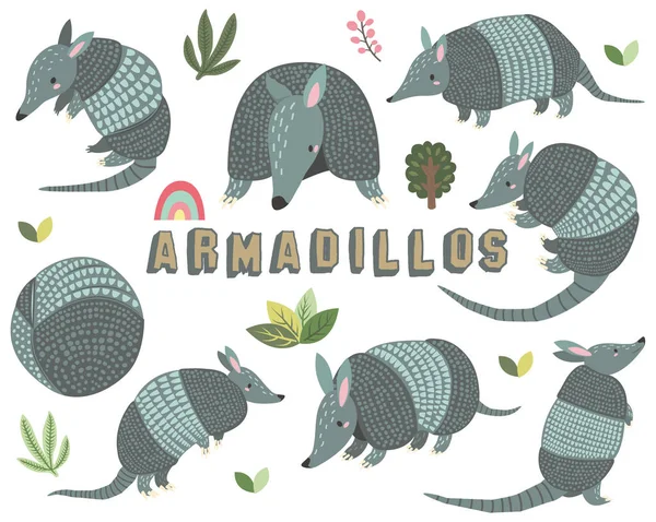 Cute Little Armadillos Collections Set — Stock Vector