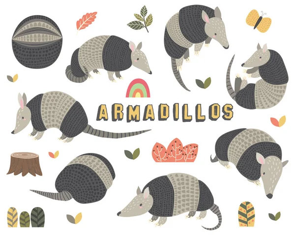 Cute Little Armadillos Collections Set — Stock Vector
