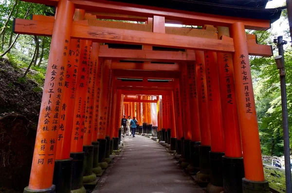 Yeşil kırmızı tünele