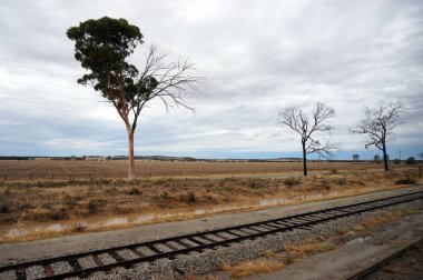Hint Pasifik tren görünümü