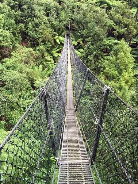 Puente colgante en Tasmania — Foto de Stock