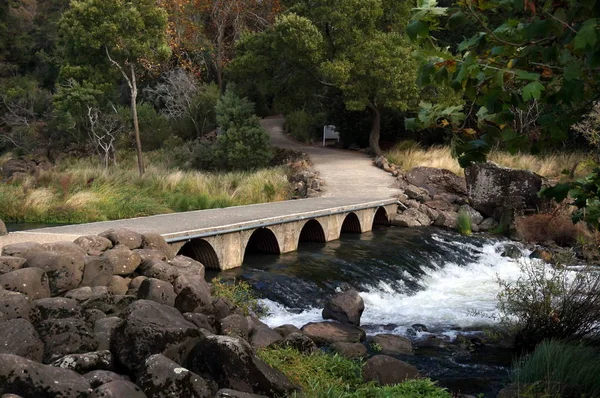 Katarakt Gorge rezerv, Launceston